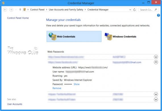Internet Explorer Password Manager