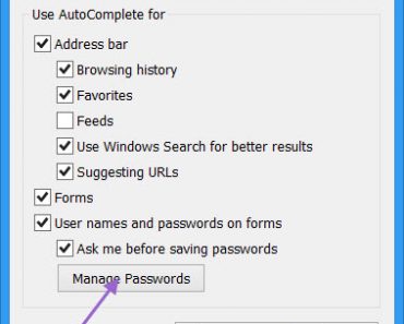 Internet Explorer Password Manager