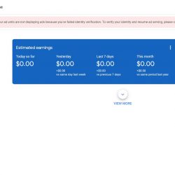 Google AdSense PIN Verification Failed