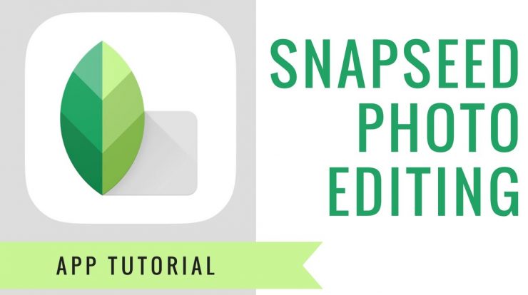 Snapseed Google photo editing app