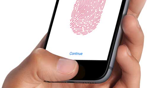 Touch ID Not Working