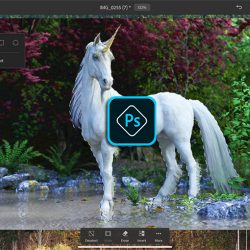 Photoshop tips to boost your skills