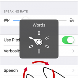 Voiceover Gesture On Iphone And Ipad