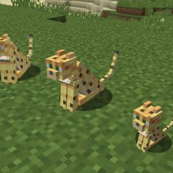 tame a cat in minecraft