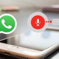 WhatsApp video calls using Google Assisant