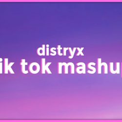 Tiktok Mashups on YouTube