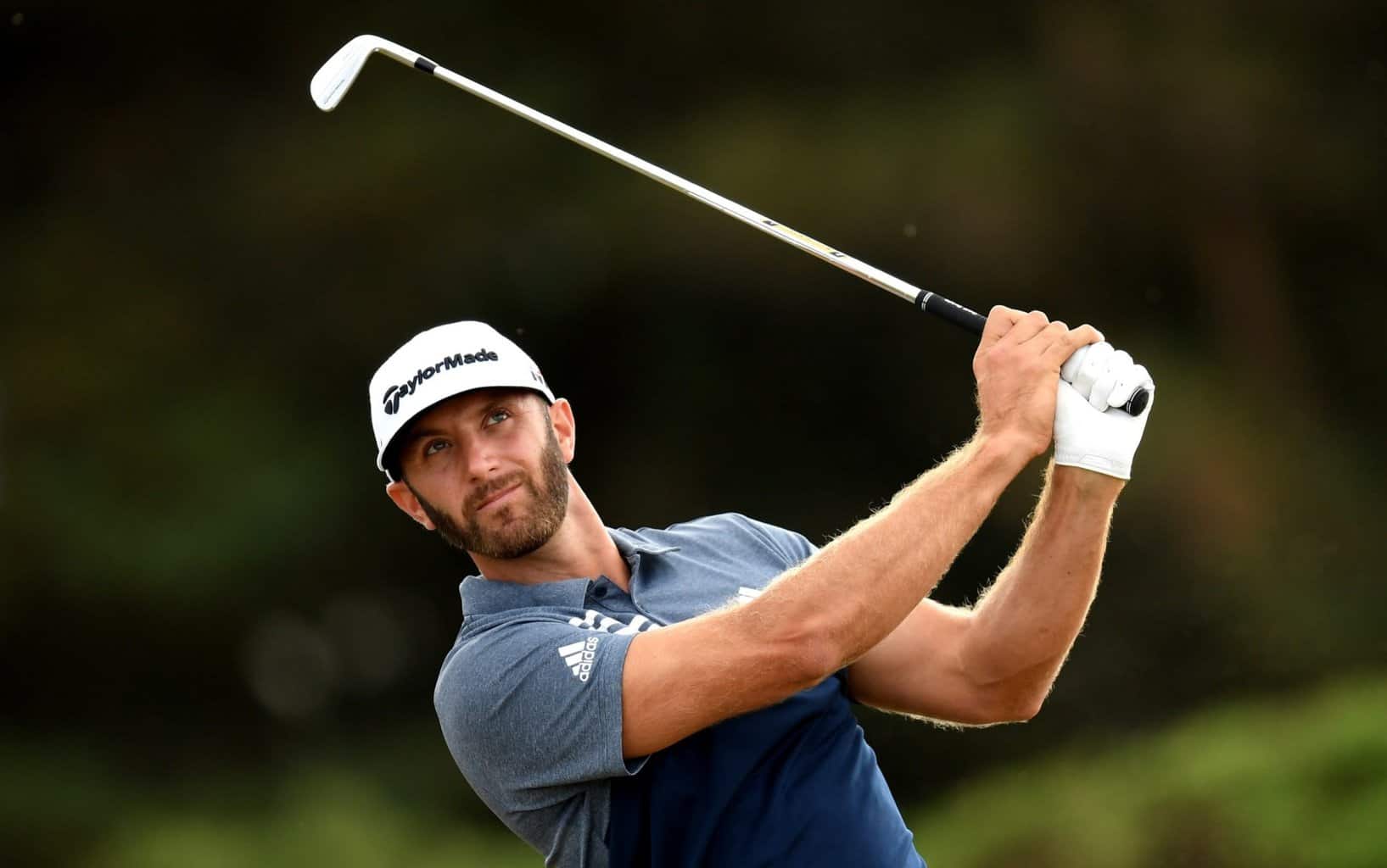 Dustin Johnson
