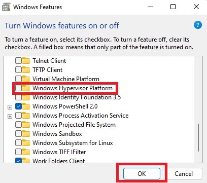 Virt WiFi has no Internet Access