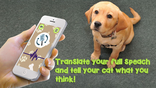 Can AI translate Animal Languages