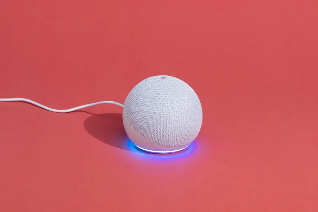 fix Echo Dot won't play Audible