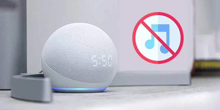 fix Echo Dot won't play audible