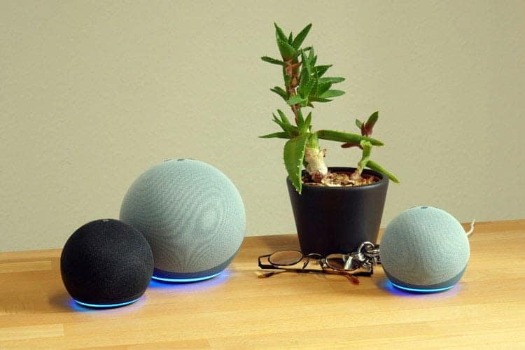 fix Echo Dot won't play Audible