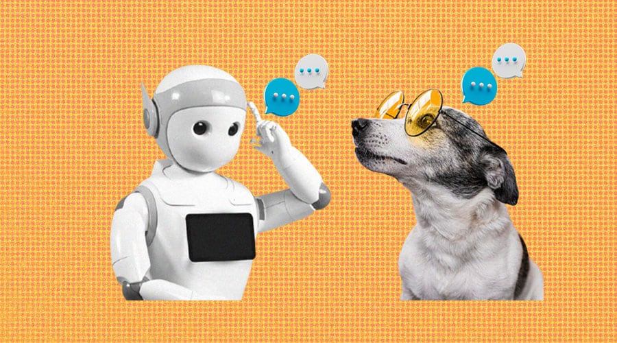 Can AI translate Animal Languages