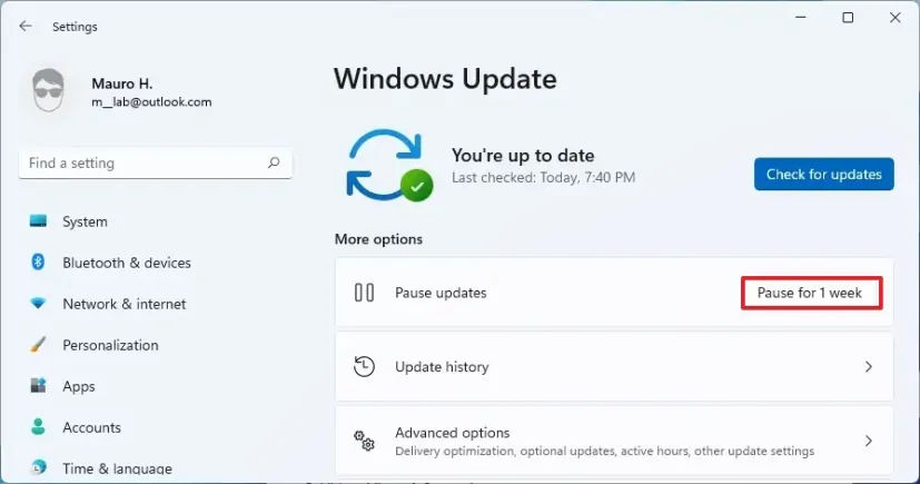 Stop Windows 11 Updates