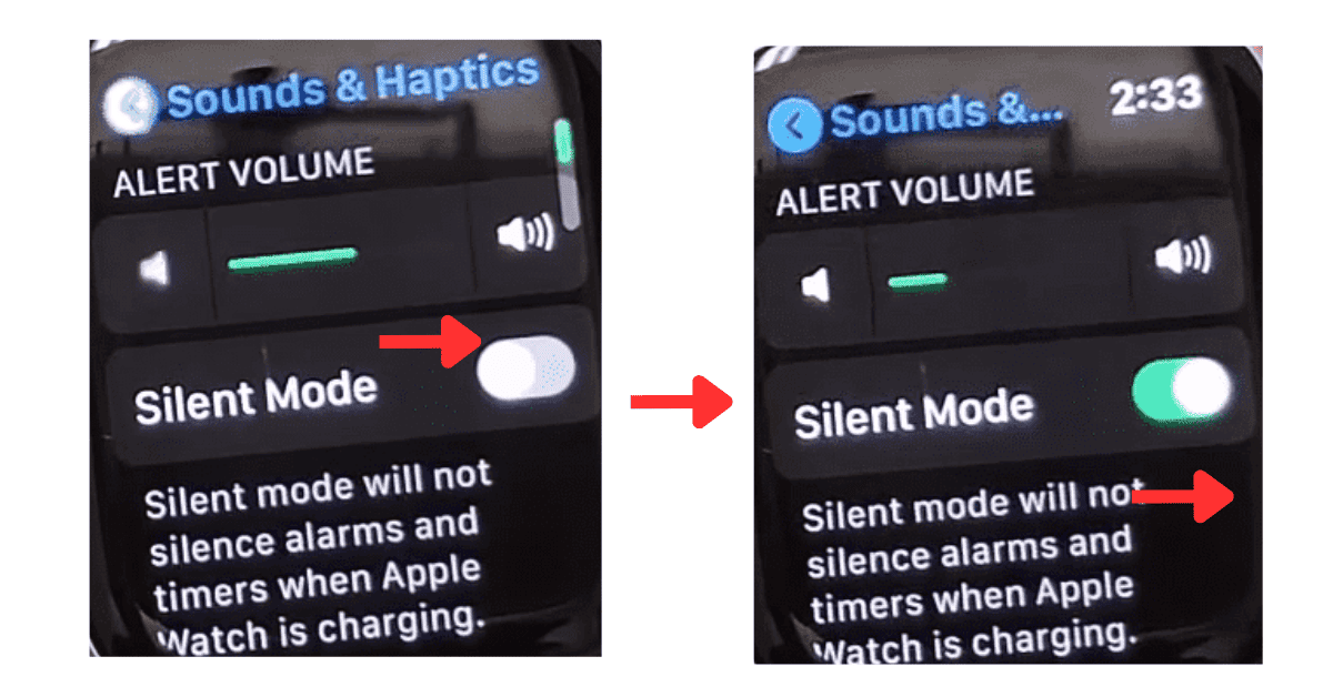 How to Turn off Sound on Apple Watch