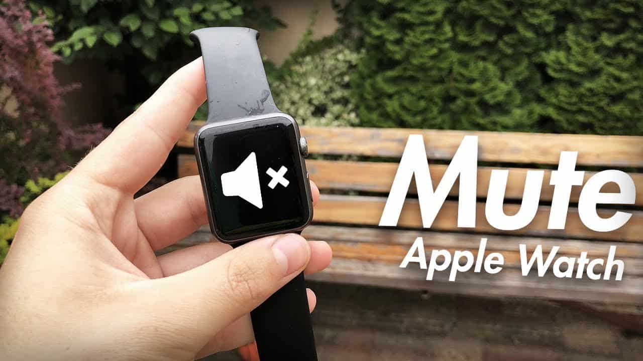 How to Turn off Sound on Apple Watch